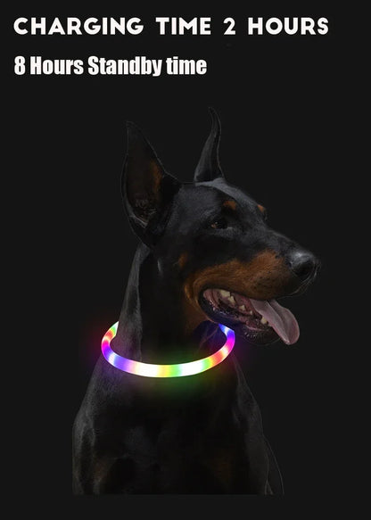 Rechargeable LED Dog Collar