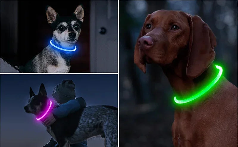 Rechargeable LED Dog Collar