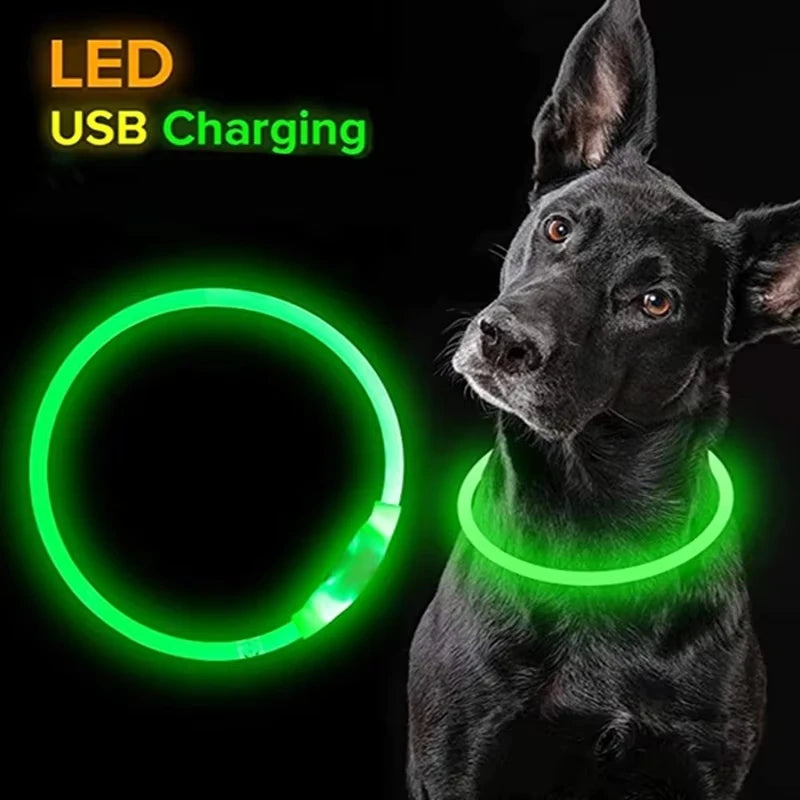 Rechargeable LED Dog Collar