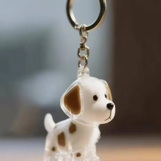 Pet Hair Storage Keychain