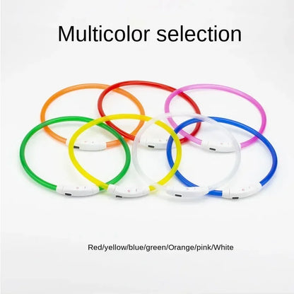 Rechargeable LED Dog Collar