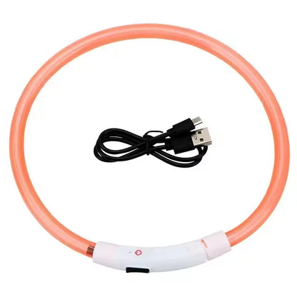 Rechargeable LED Dog Collar