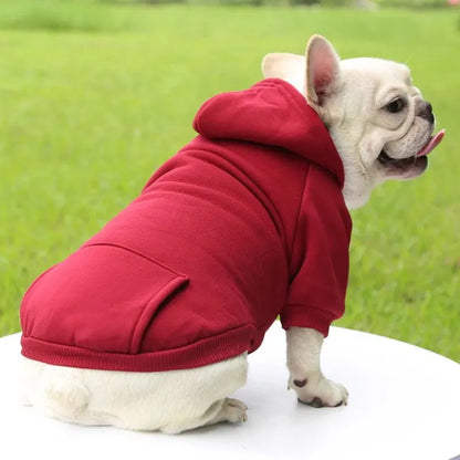 Cozy Hoodie for Small Dogs