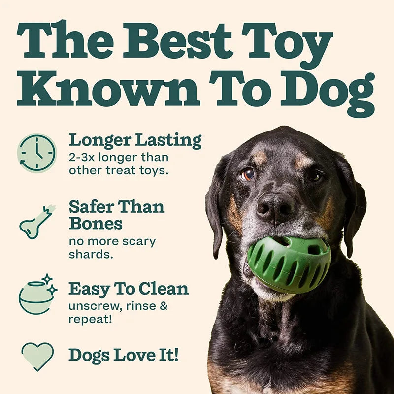 Interactive Treat Ball Toy for Dog