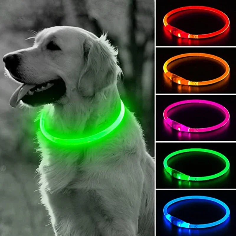 Rechargeable LED Dog Collar