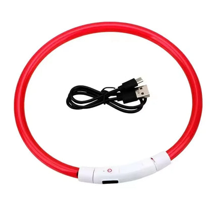 Rechargeable LED Dog Collar