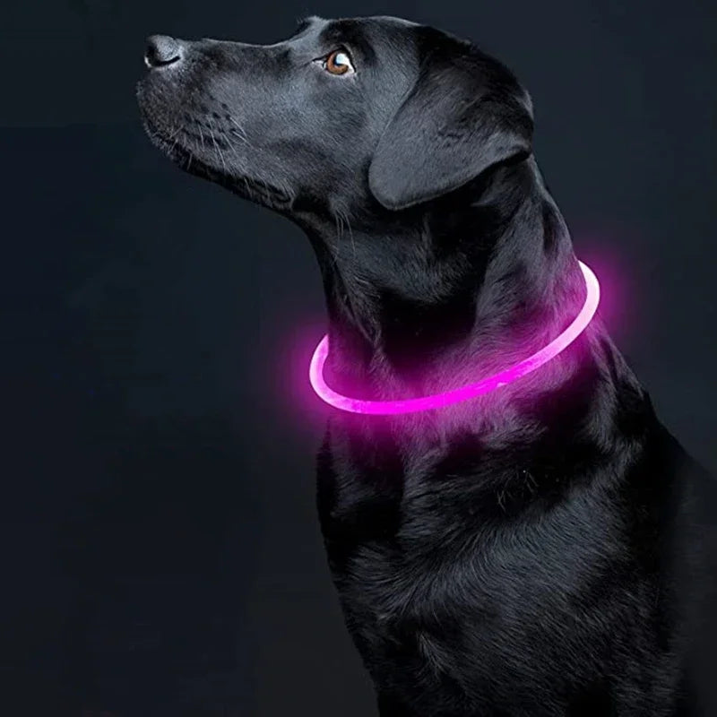 Rechargeable LED Dog Collar