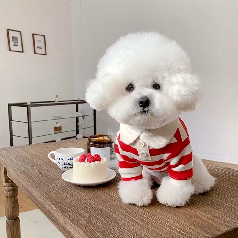 Navy Stripe Polo Dog Shirt