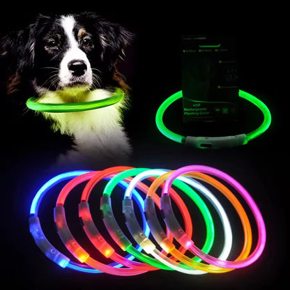 Rechargeable LED Dog Collar