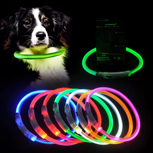 Rechargeable LED Dog Collar