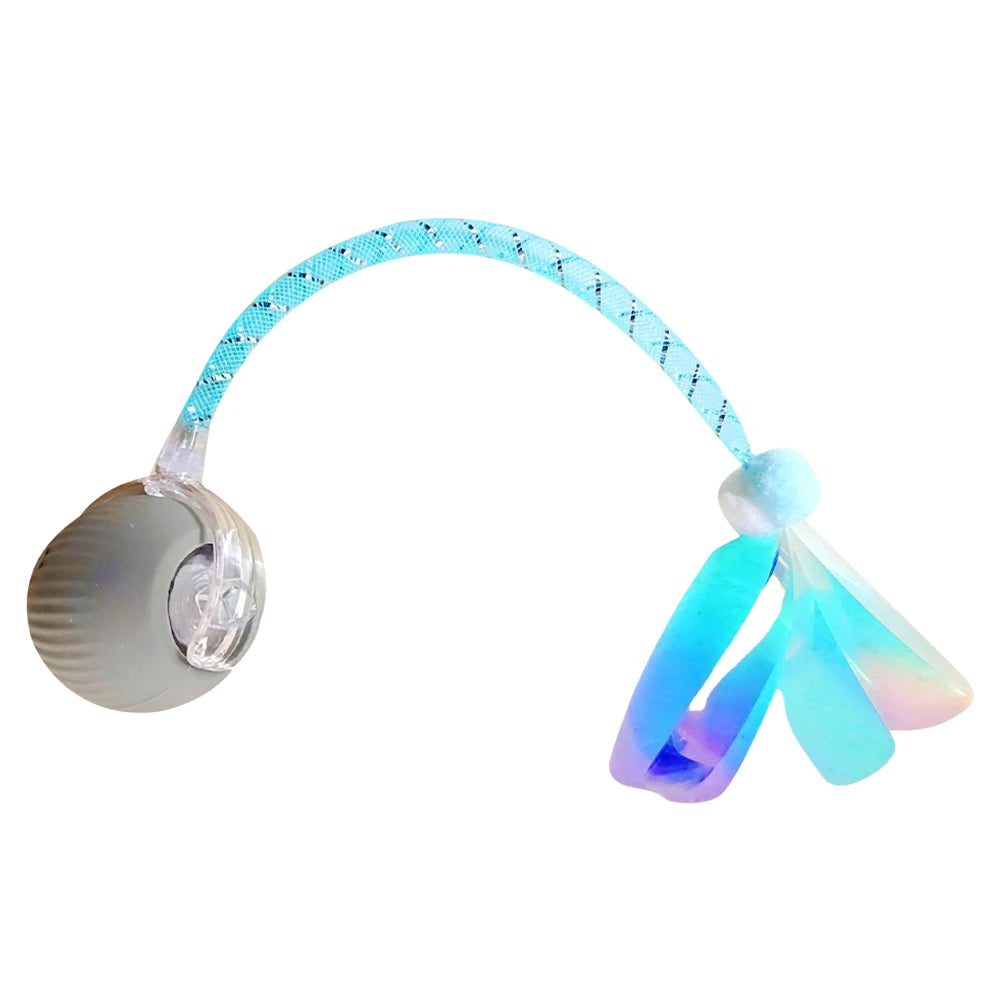 Motion Activated Dog Toy