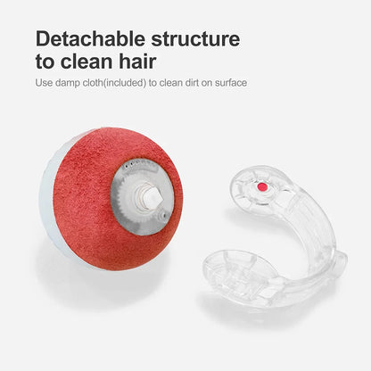 Motion Activated Dog Toy