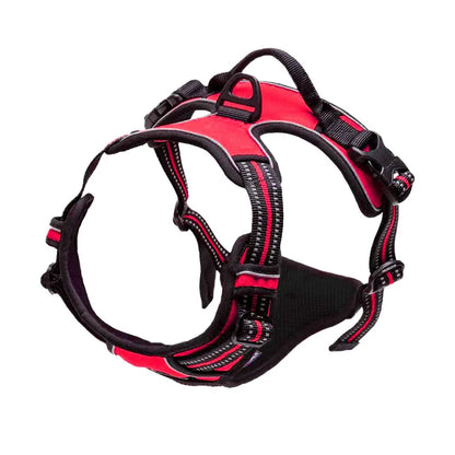 Classic Comfort No Pull Dog Harness