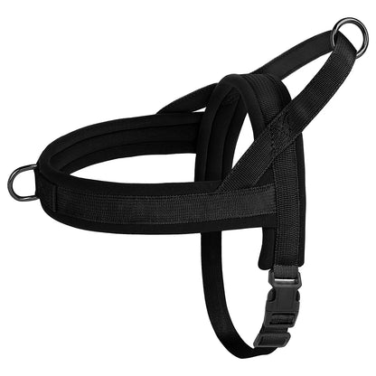 Padded No-Pull Harness Leash Set
