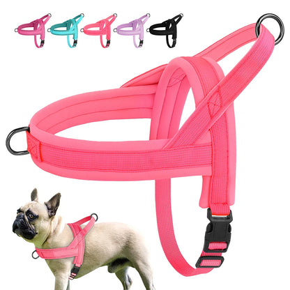 Padded No-Pull Harness Leash Set