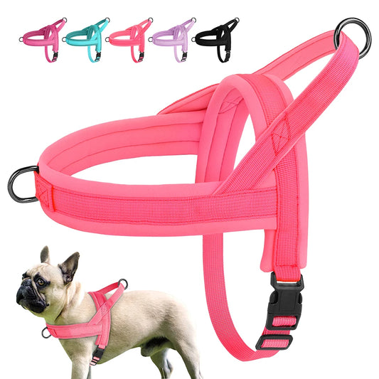 Padded No-Pull Harness Leash Set