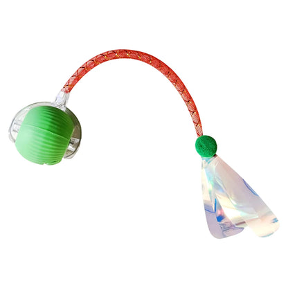 Motion Activated Dog Toy