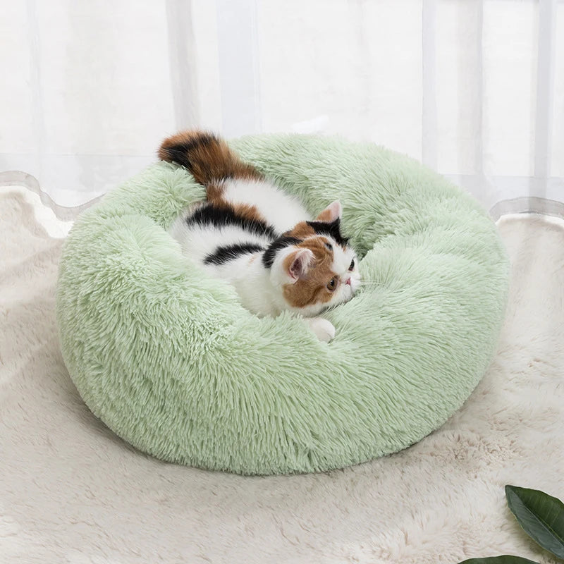 Donut Calming Yorkie Bed