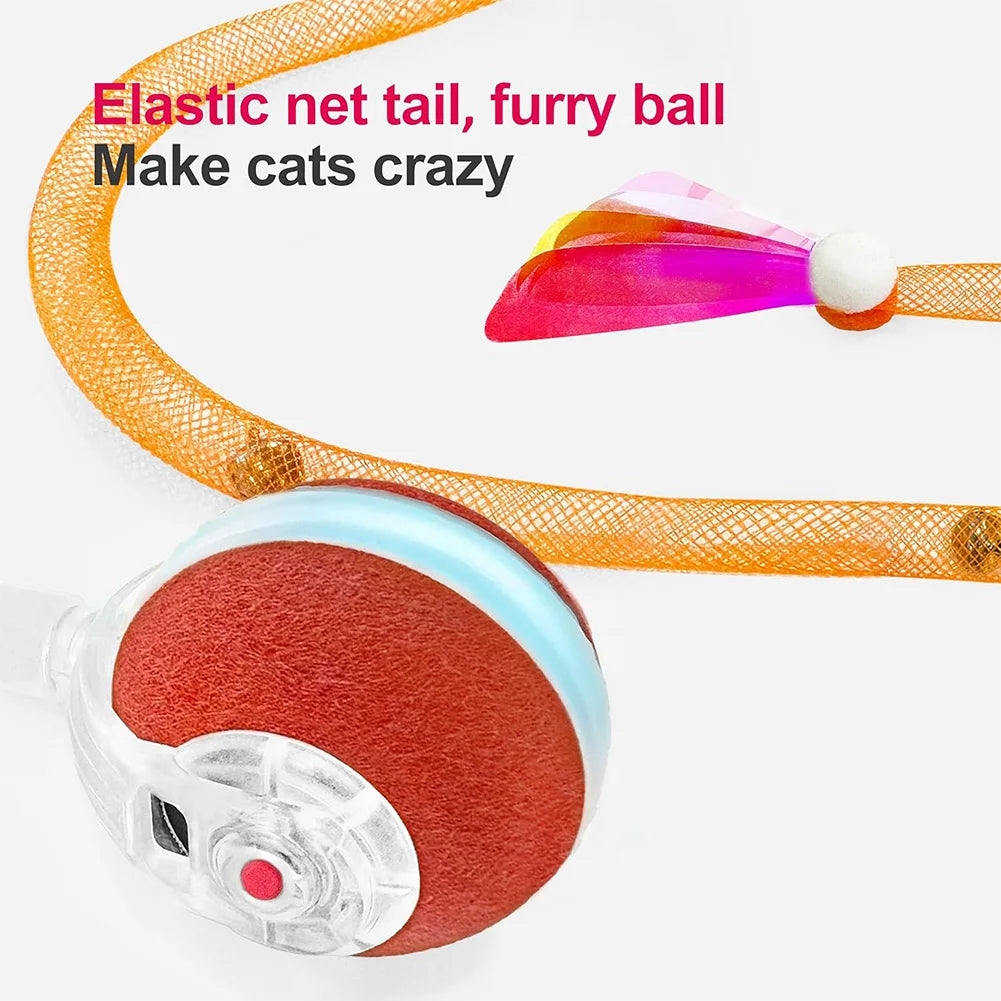 Motion Activated Dog Toy