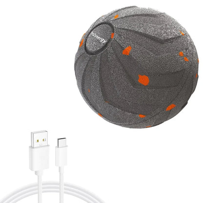 Self Bouncing Dog Smart Toy Ball