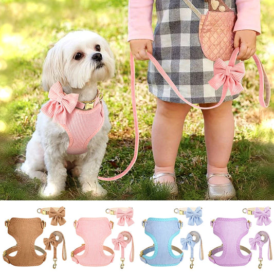Velvet Harness Collar Leash Set with Bowtie