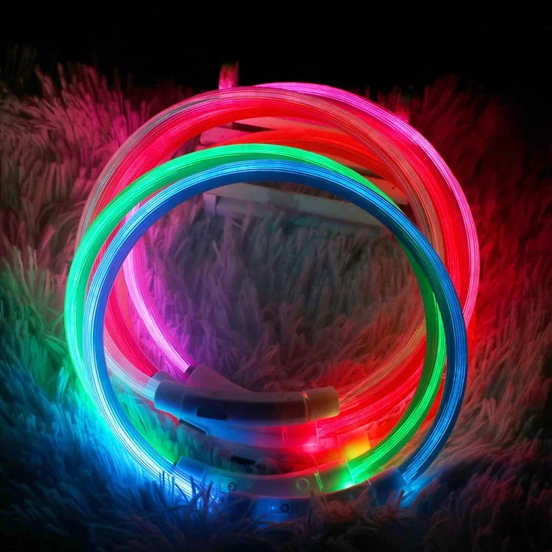 Rechargeable LED Dog Collar