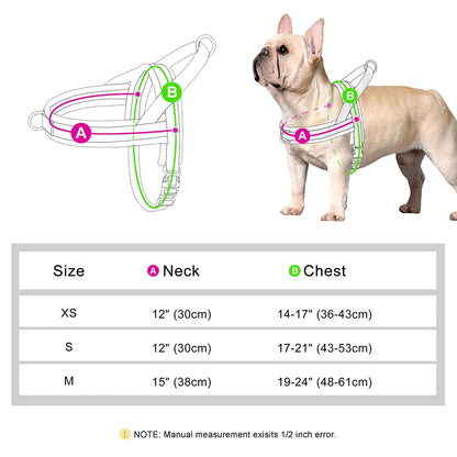Padded No-Pull Harness Leash Set