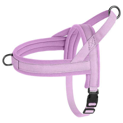 Padded No-Pull Harness Leash Set