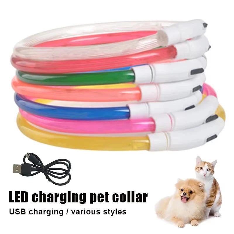 Rechargeable LED Dog Collar