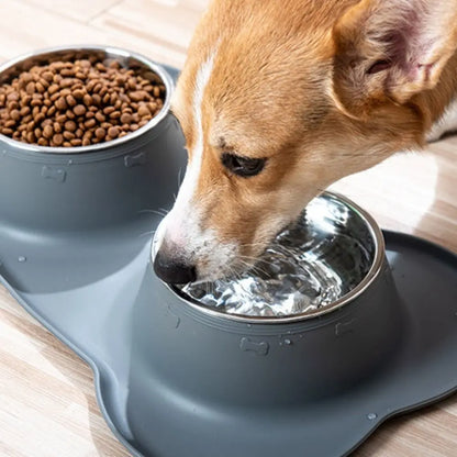 Dog Bowls with Silicone Mat