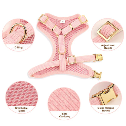Velvet Harness Collar Leash Set with Bowtie