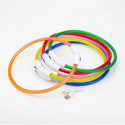 Rechargeable LED Dog Collar
