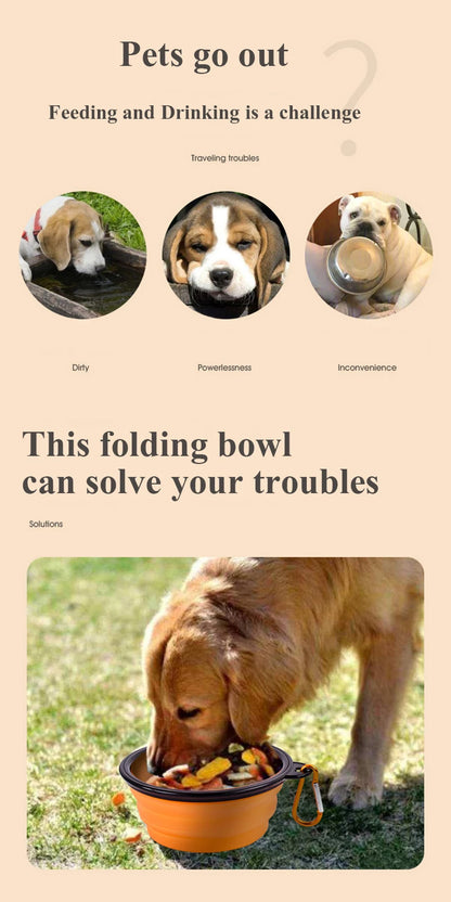 Collapsible Water Bowl