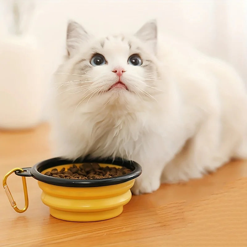 Collapsible Water Bowl