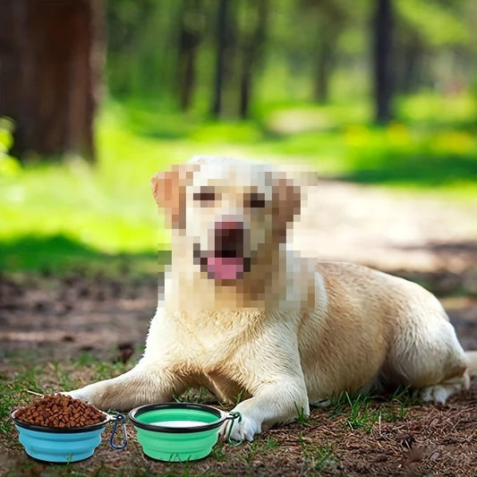 Collapsible Travel Bowls with Lids