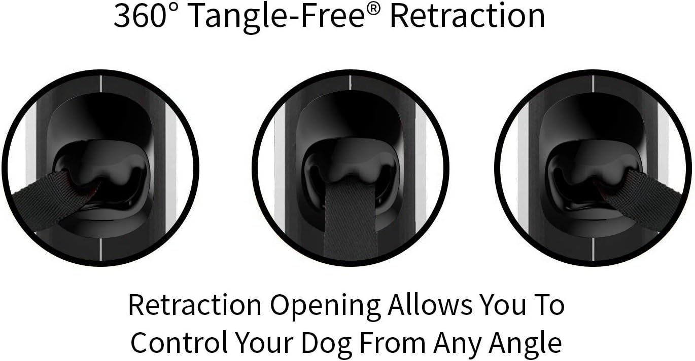 Retractable Dog Leash