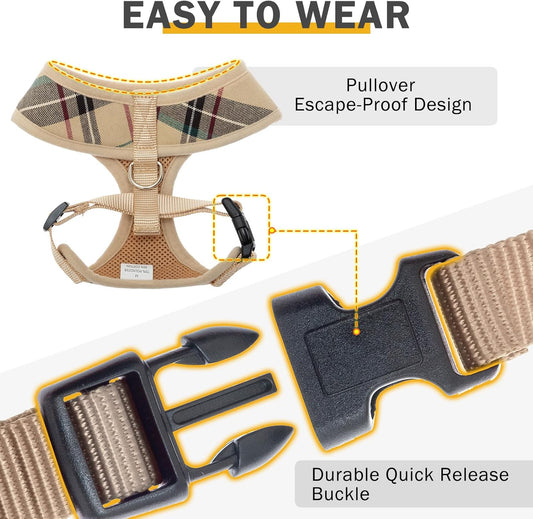 Yorkie Harness with Leash Set