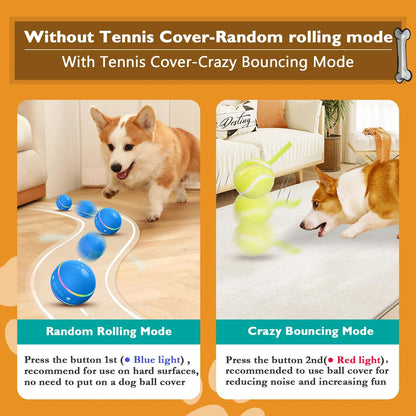 Dog Motion Activated Ball