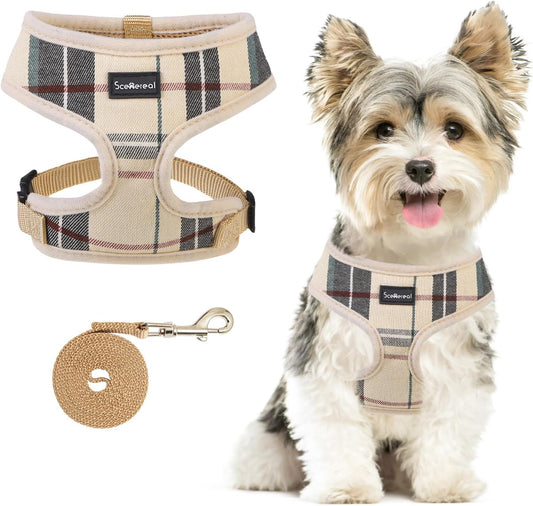 Yorkie Harness with Leash Set