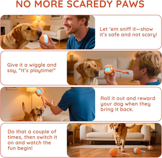 Irregular Rolling Dog Toy