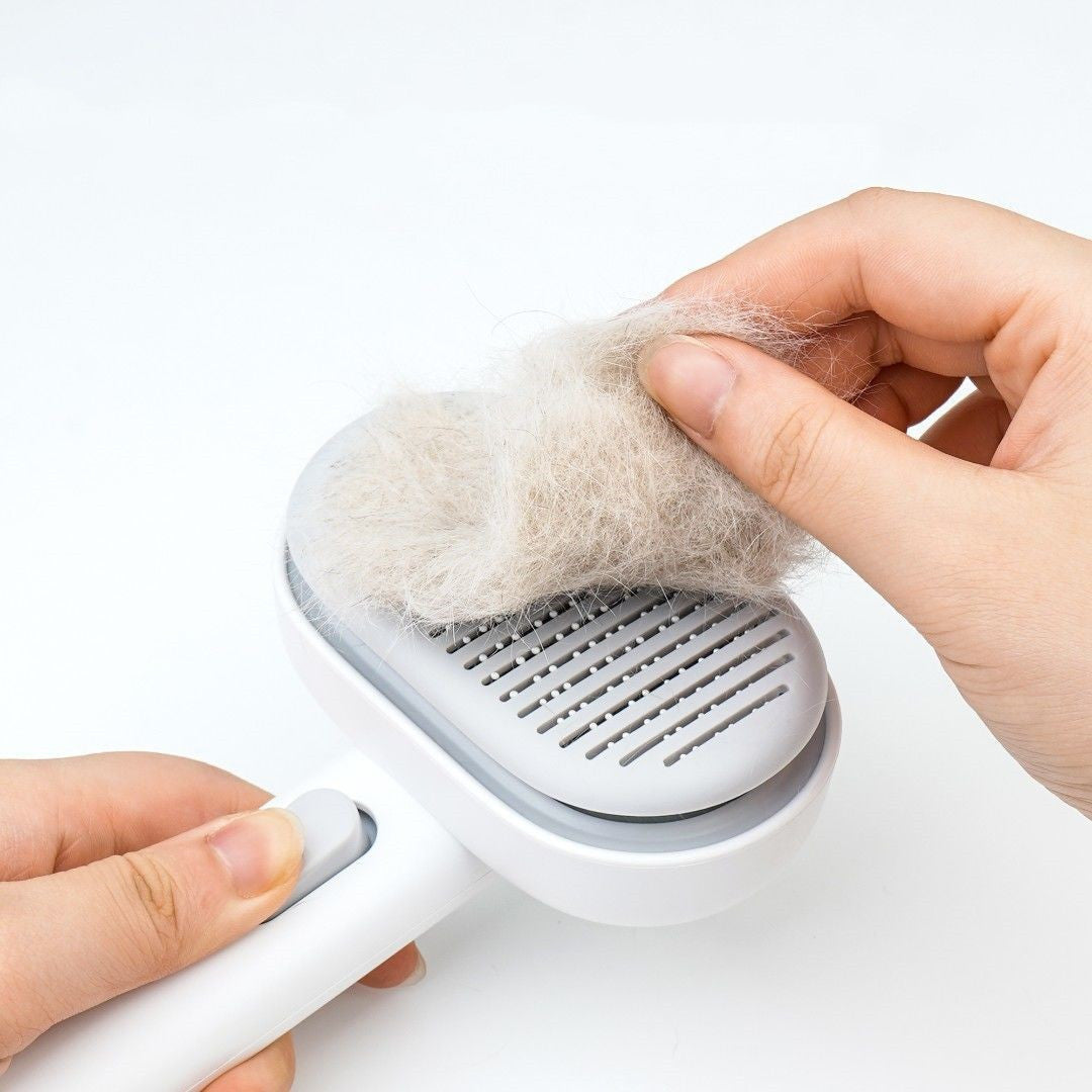 Self Cleaning Brush